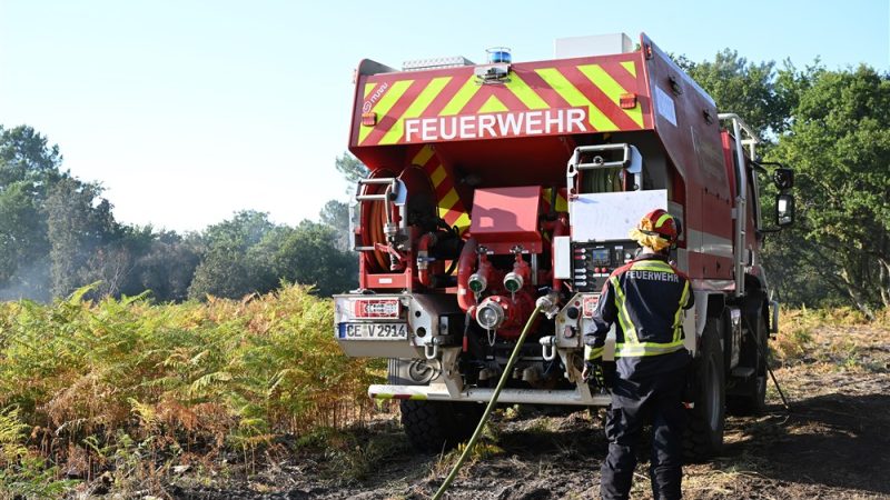 German firefighters assist Belgium in forest fire